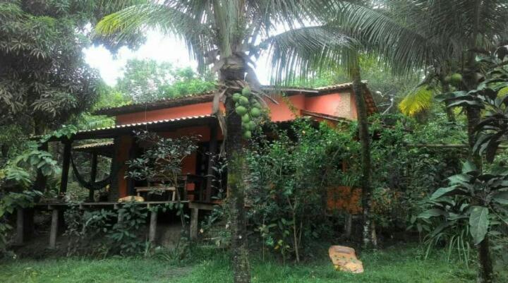 Hotel Vivenda Peixe Pequeno Cumuruxatiba Esterno foto