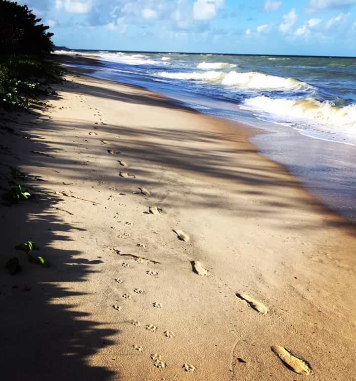 Hotel Vivenda Peixe Pequeno Cumuruxatiba Esterno foto